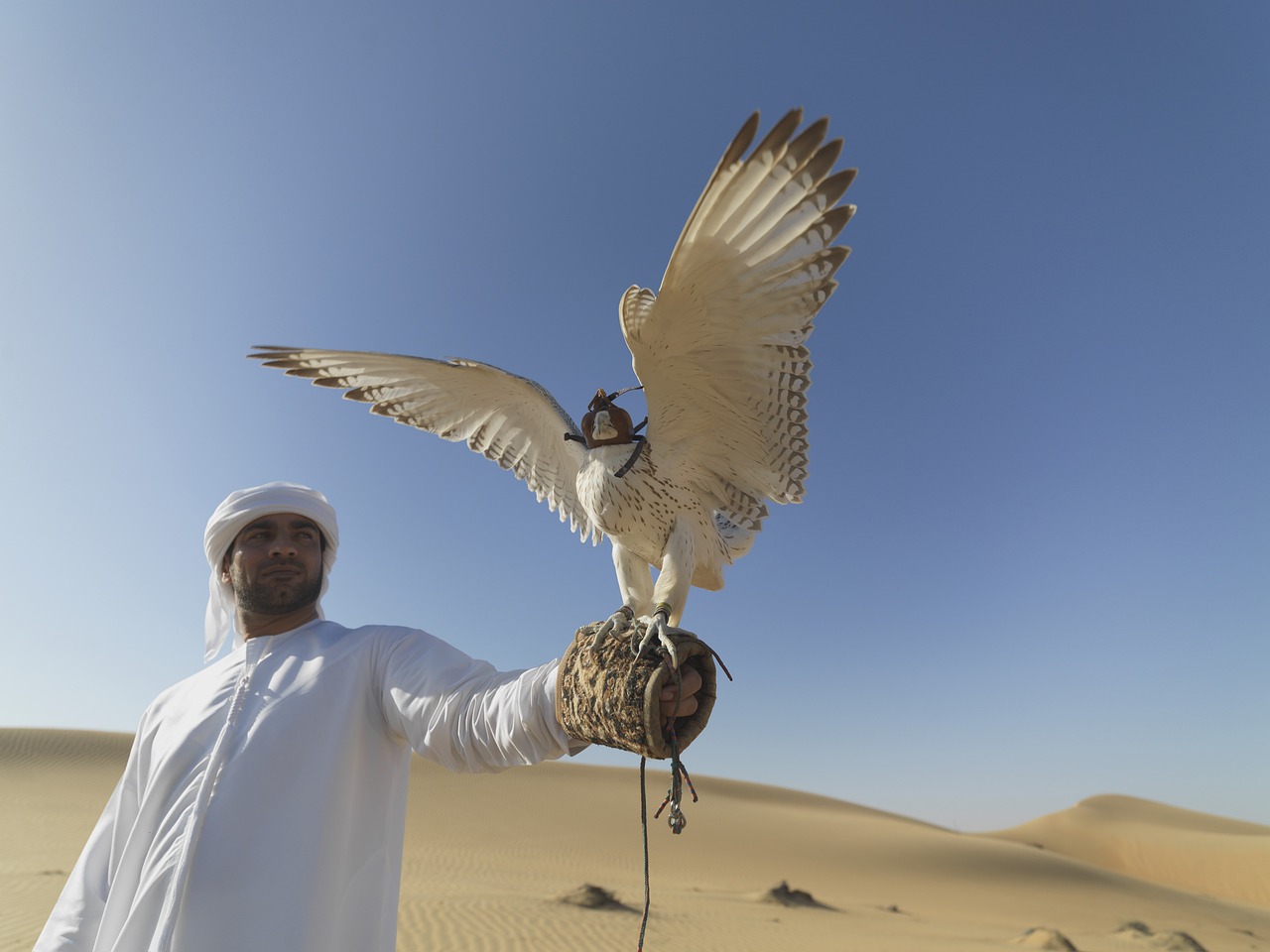 ontdek de fascinerende wereld van de valkerij, waar traditionele jachttechnieken en het trainen van majestueuze vogels samenkomen. leer meer over de geschiedenis, technieken en de bijzondere band tussen mens en roofvogel.